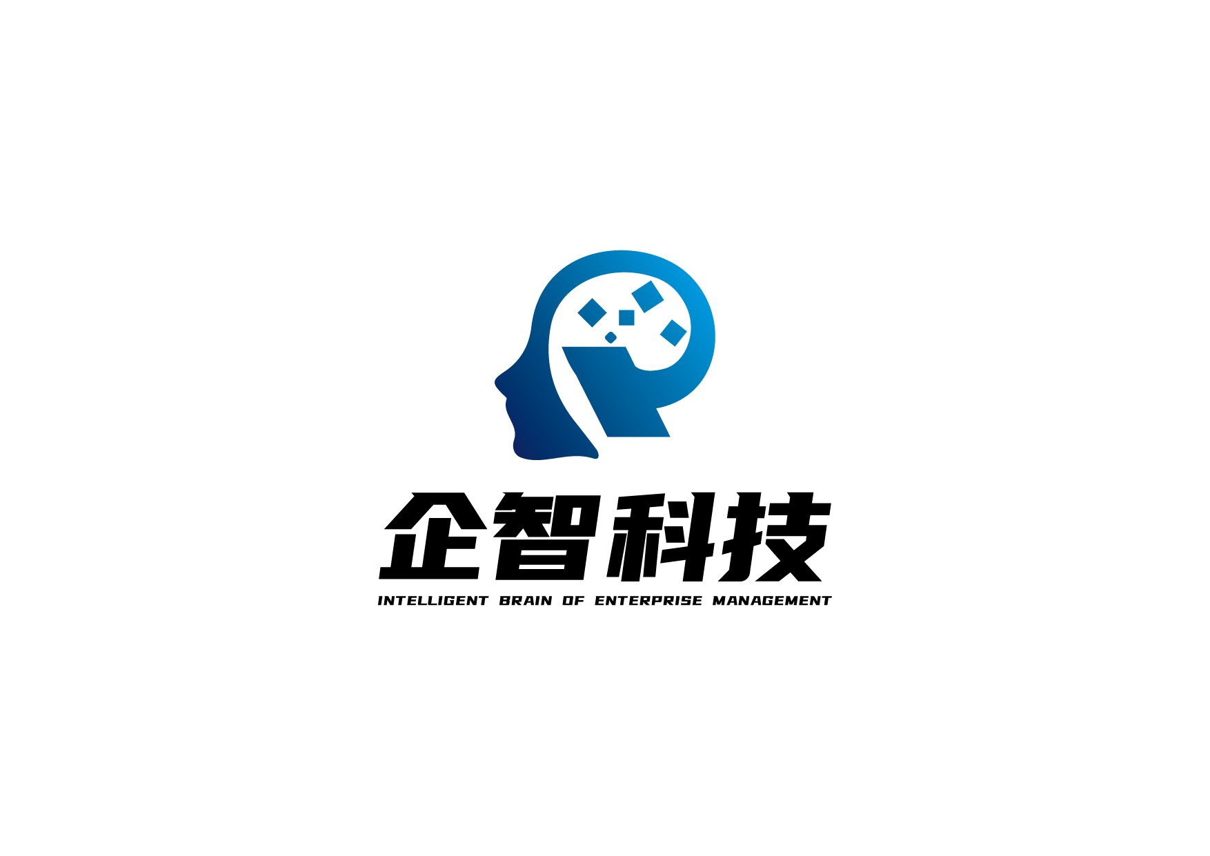 宁波企智信息科技有限公司